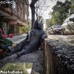 Katherine Watsica Profile Picture
