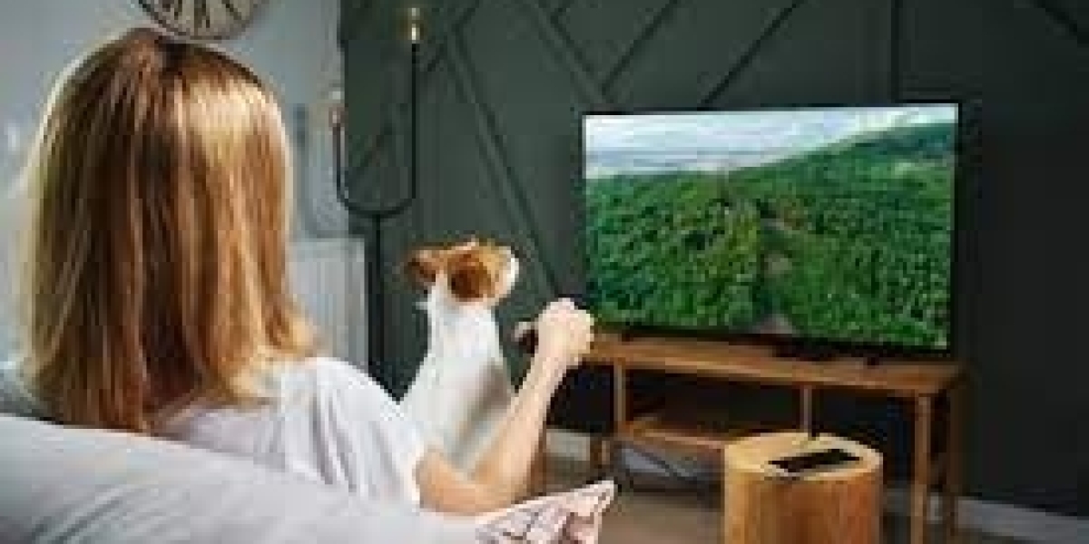 Unlock Limitless Entertainment with Lemo TV: Your Ultimate Streaming Companion