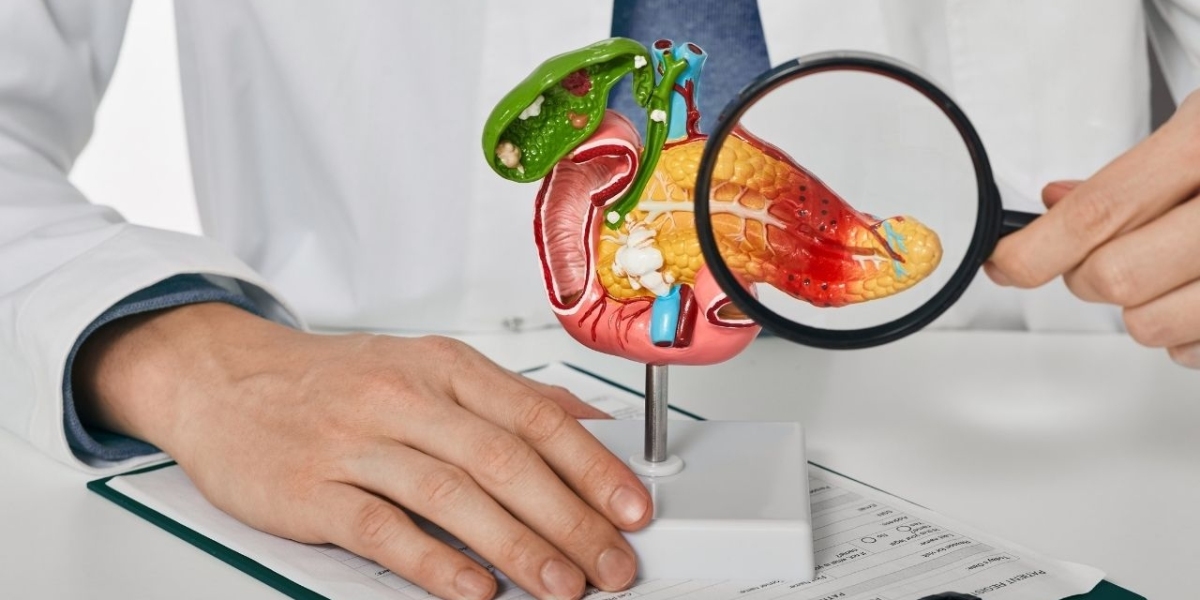 Exocrine Pancreatic Insufficiency Treatment Market to Double by 2034 Amid Rising Cystic Fibrosis Cases