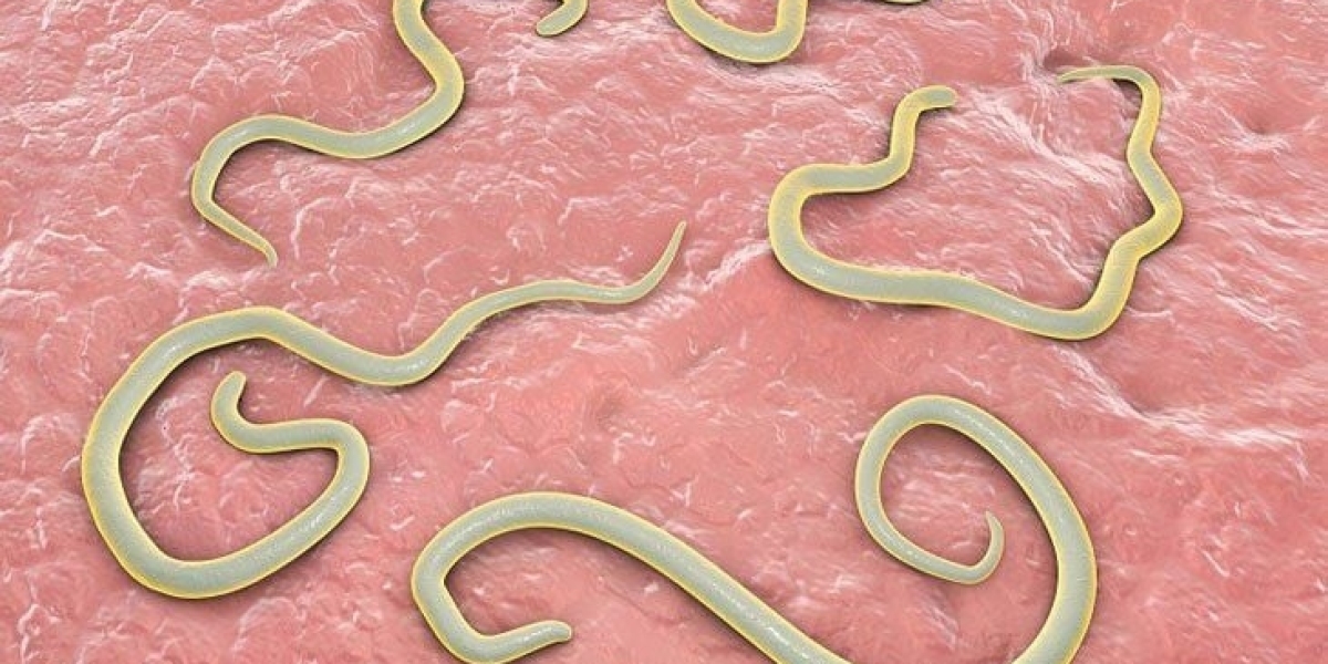 7 Effective Remedies for Worm Infections