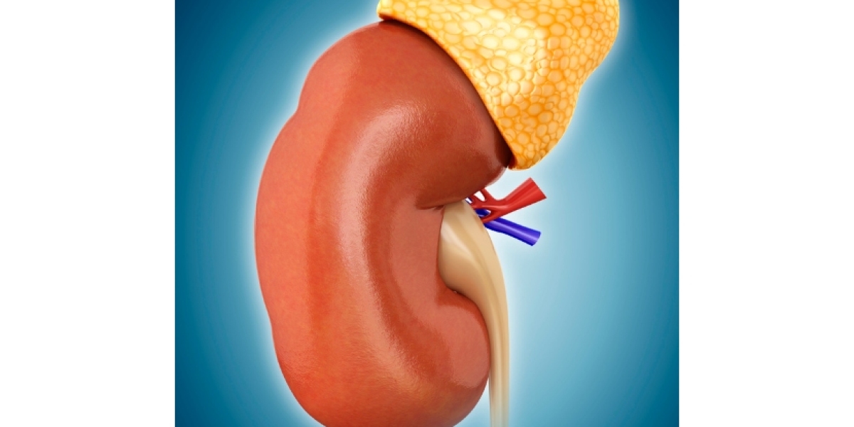 Congenital Adrenal Hyperplasia Treatment Market Growth Report 2034