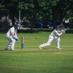 bren tely Profile Picture