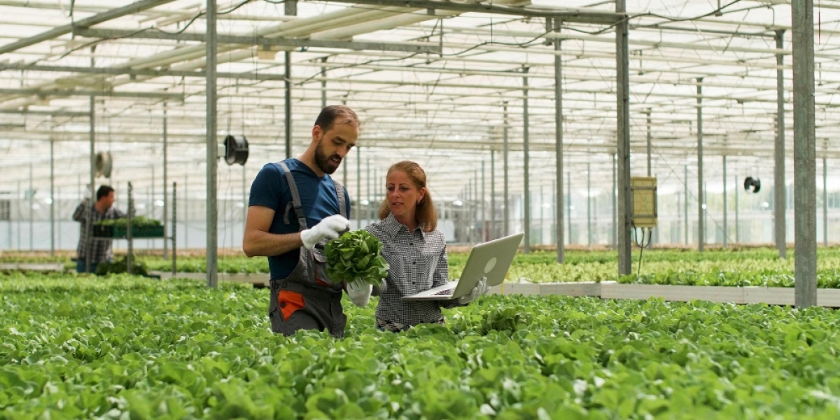 The Digital Revolution in Modern Farming: How Technology is Reshaping Agriculture