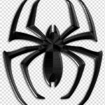 Sp5der Clothing Profile Picture