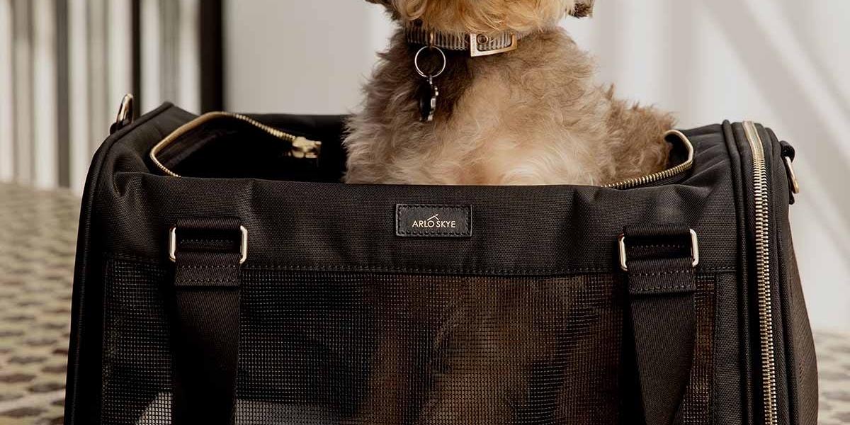 Stylish Convenience: Why Every Pet Parent in the United Kingdom Needs a dog carrying purse