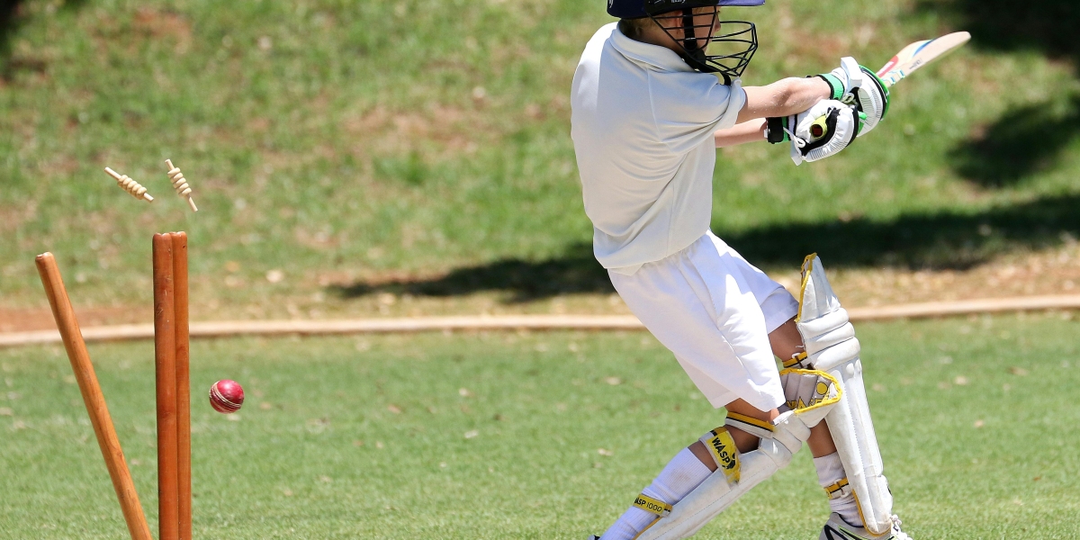 The Ultimate Guide to Download Wheon Cricket 07: Relive the Classic Cricket Saga