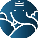 bejandaruwalla Profile Picture