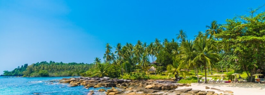 Natasha John Cover Image