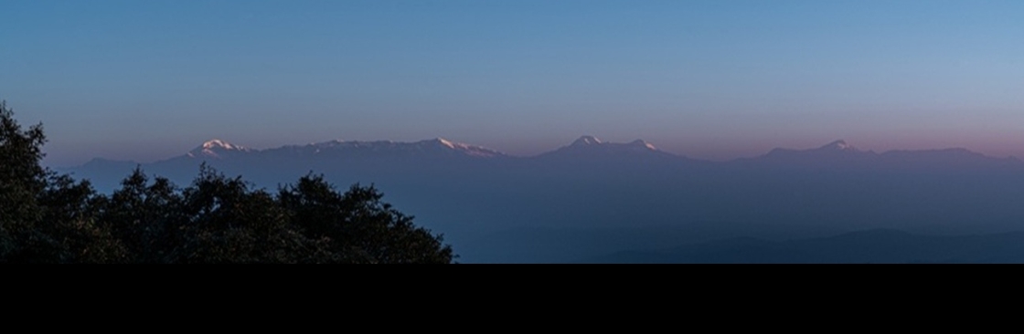 Mary Budden Estate Cover Image