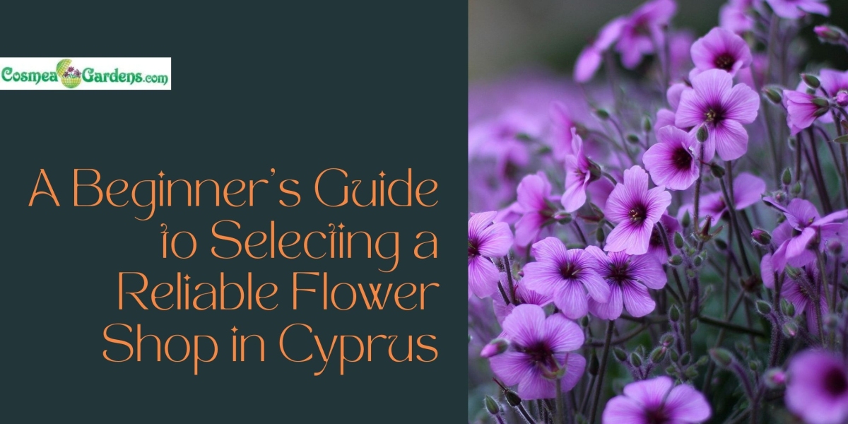A Beginner’s Guide to Selecting a Reliable Flower Shop in Cyprus