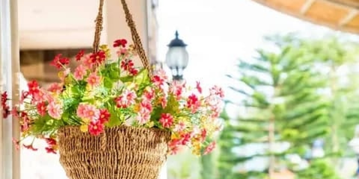 Decorative Hanging Plants Ideal for Indoor Use