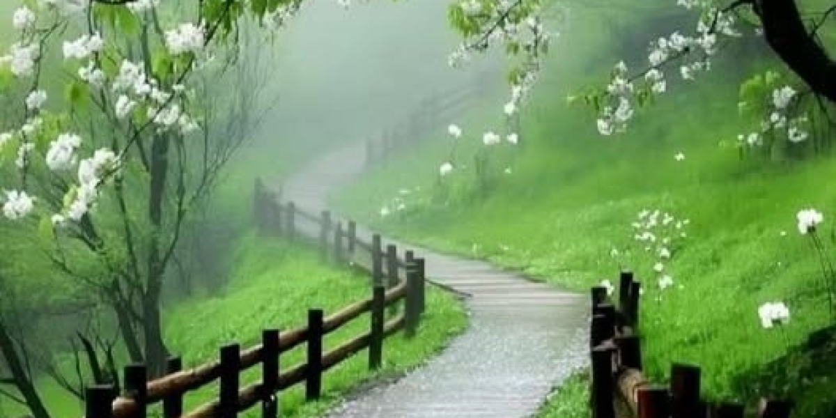 Pre-Snap Reads 5/5: Adding fresh Seahawks TE Elijah Arroyo