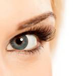 Taha Hussain Profile Picture