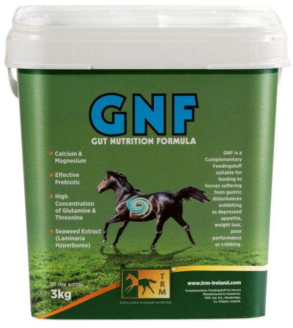 7 Best Horse Supplements for Performance and Recovery - Blogingers