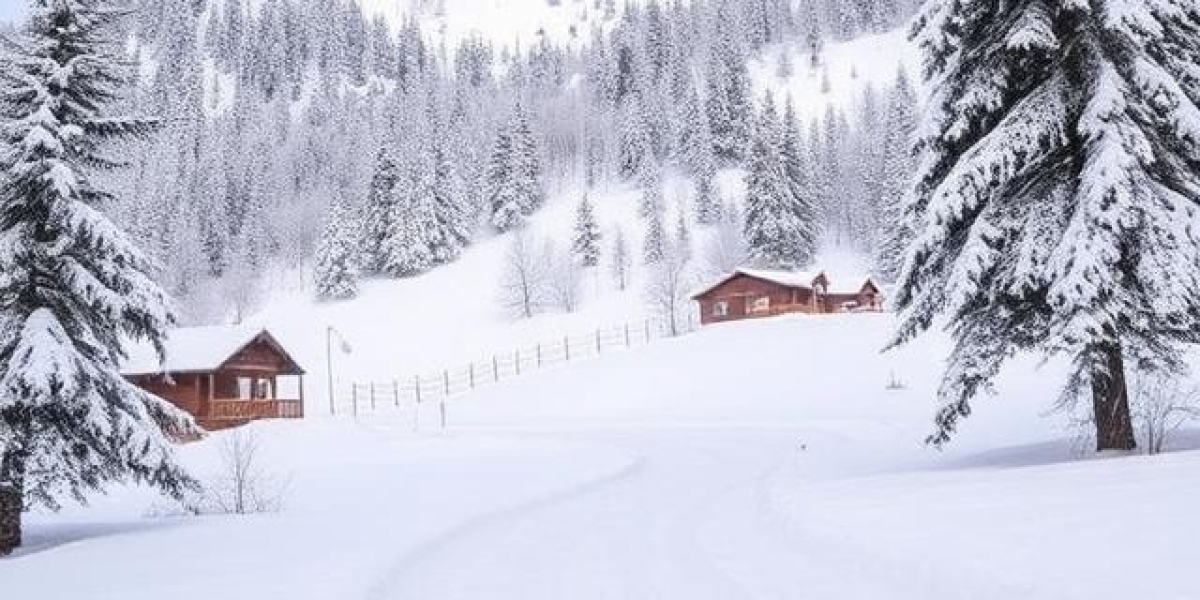 Exploring Snowy Mountains Resorts Across NSW