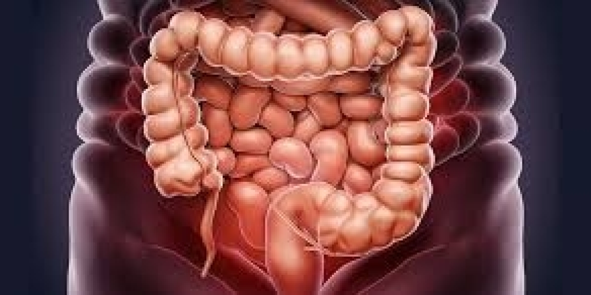 Can Colon Hydrotherapy Support Liver and Kidney Detoxification?
