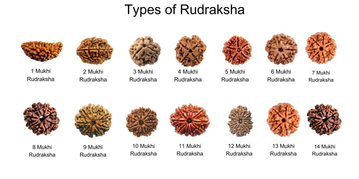Why People Believe Rudraksha Brings Protection Positive Energy