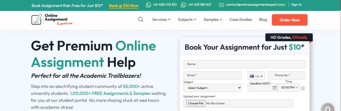 Online Assignment Expert Cover Image