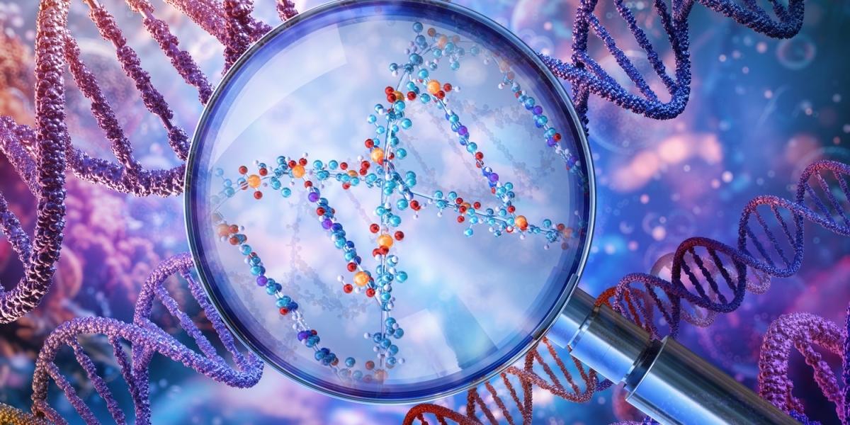 DNA Ancestry Test Dubai – Discover Your Genetic Roots