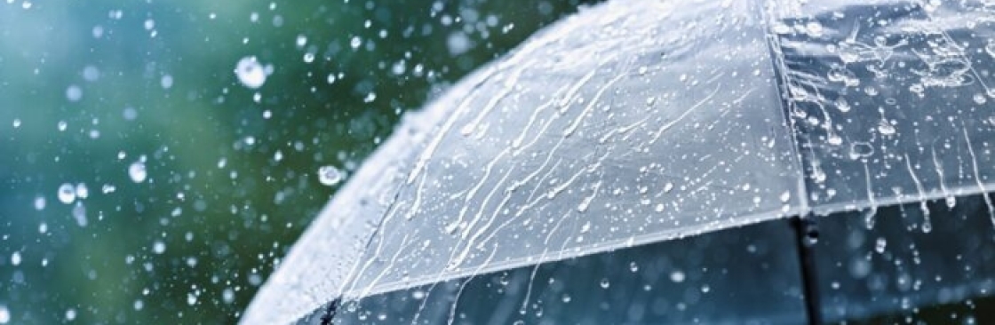 Mrindia Umbrellas Cover Image