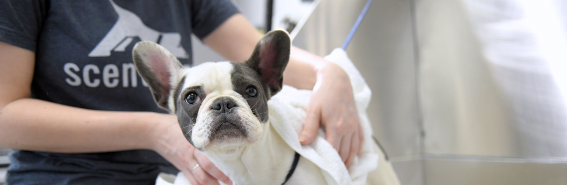 Scent Hound Apex Cover Image