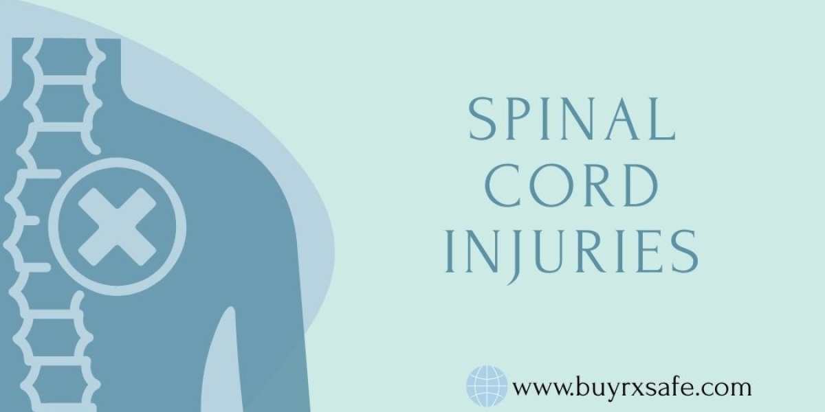 What Causes Spinal Cord Issues and How to Manage