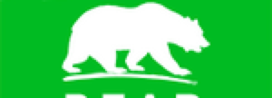 Bear Viewing Tours Alaska Cover Image