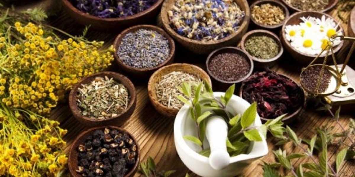 Best Unani Medicine in Mumbai: A Complete Guide to Natural and Holistic Healing