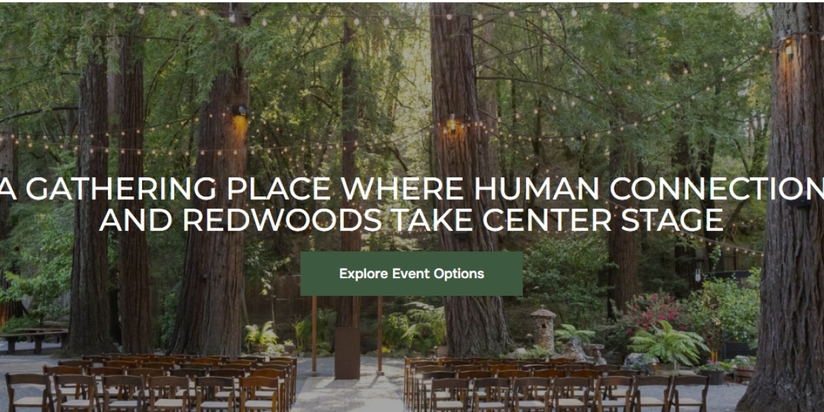 Corporate Retreat Venues That Inspire Teams and Drive Results