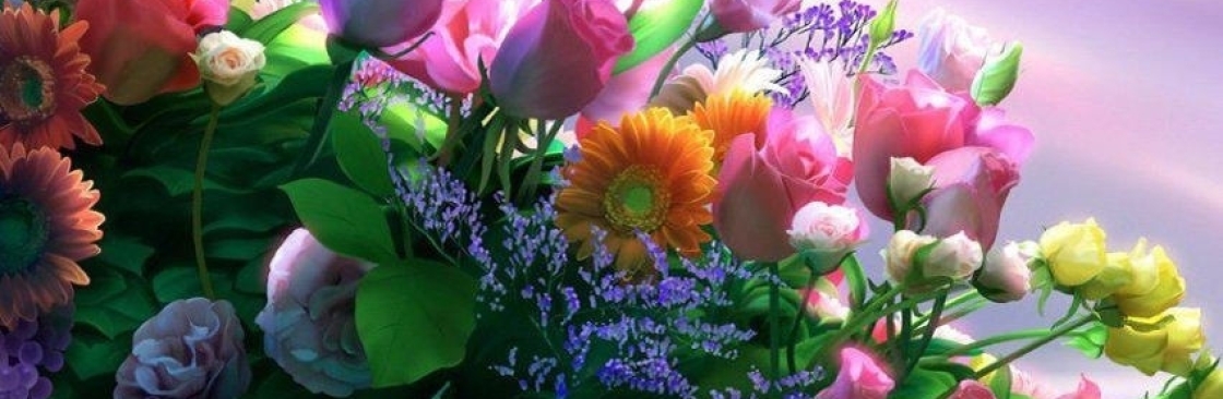 Hazel David Cover Image