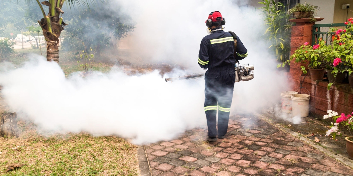 Fumigation Services & Bed Bug Bites Treatment | Safe & Effective