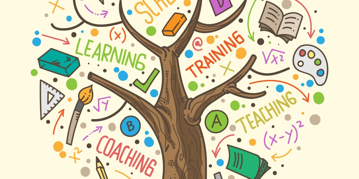 How to Build a Winning Strategy Around CUET Mock Test Practice