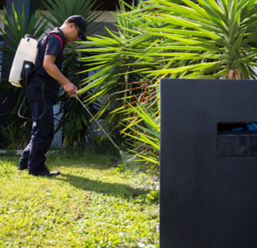 Pest Control Mill Park, Termite Inspection & Treatment, Rat Control