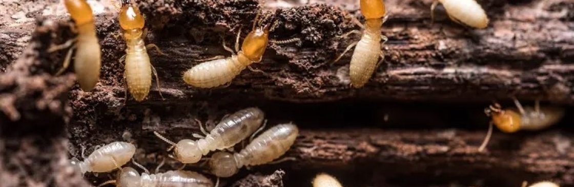 Pest Control Cover Image