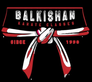 Balkishan Karate Classes Profile Picture