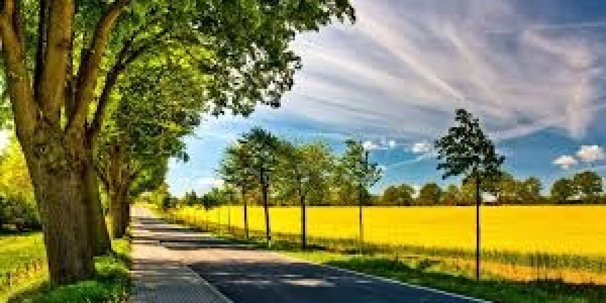 Sp5der Streetwear: The Power of Bold Fashion and Urban Style