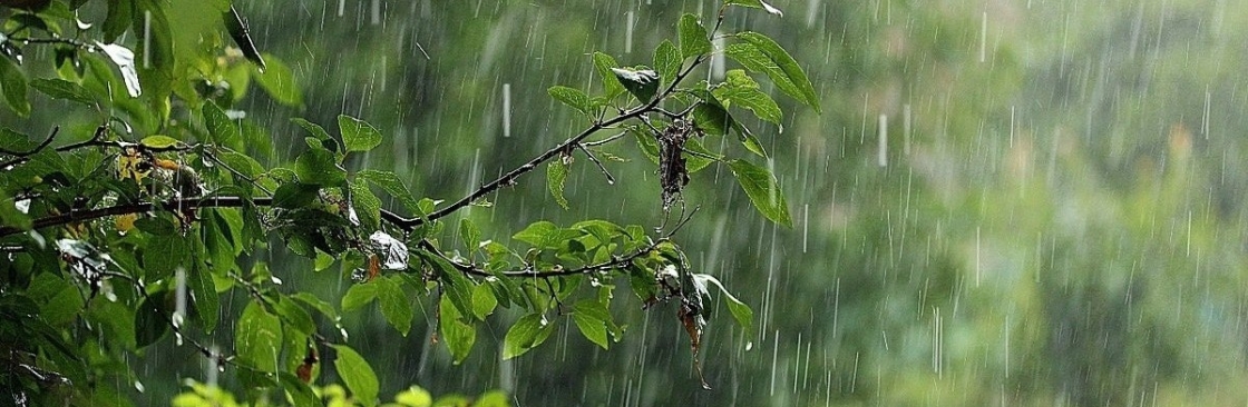 Антон Колесніченко Cover Image