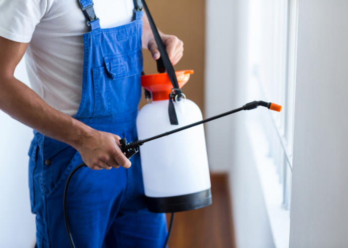 Pest Control Bundoora, Termites Treatment & Inspection Bundoora